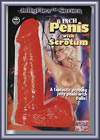 Penis with Scrotum